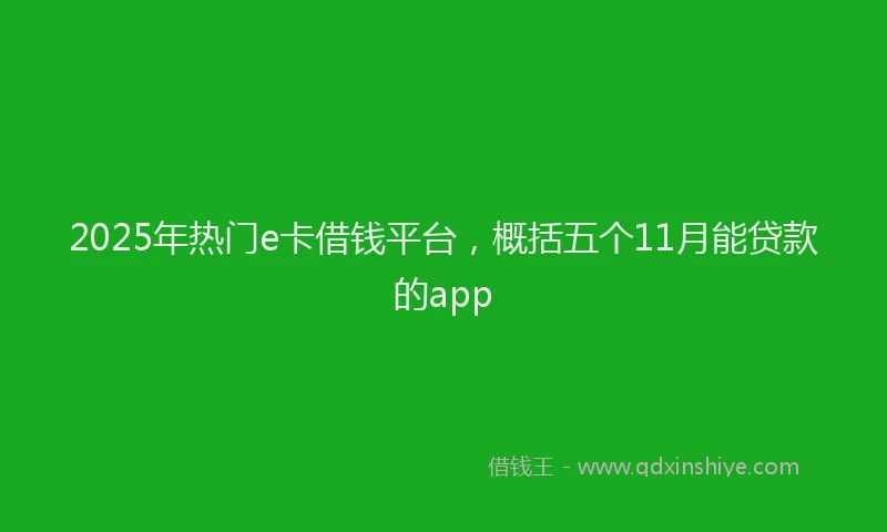 2025年热门e卡借钱平台，概括五个11月能贷款的app