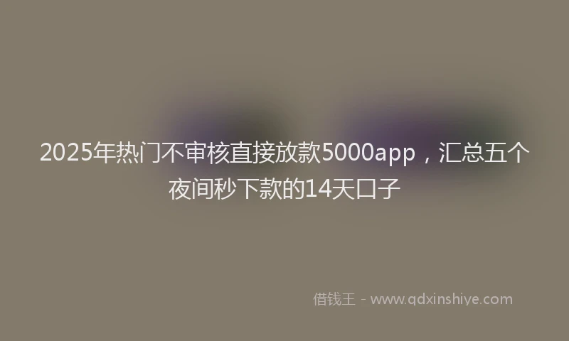 2025年热门不审核直接放款5000app，汇总五个夜间秒下款的14天口子