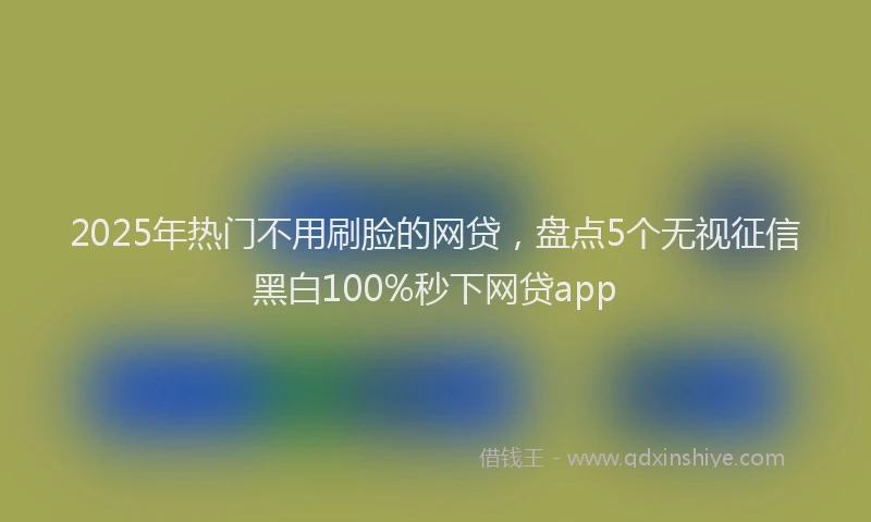 2025年热门不用刷脸的网贷，盘点5个无视征信黑白100%秒下网贷app