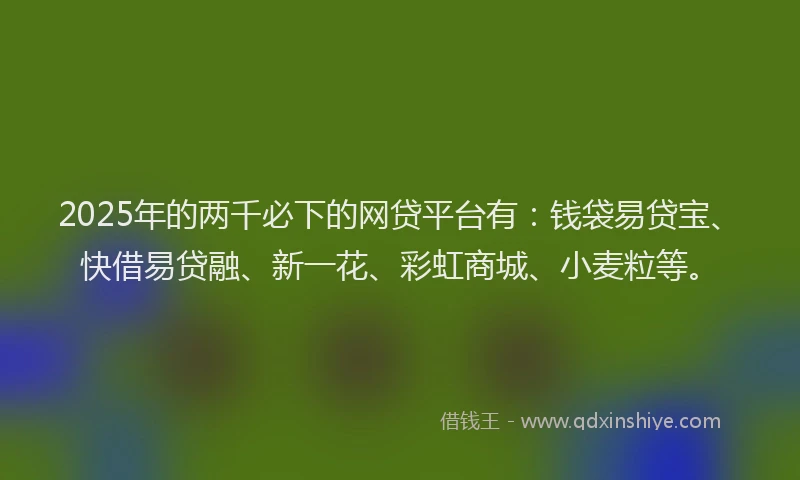 2025年的两千必下的网贷平台有：钱袋易贷宝、快借易贷融、新一花、彩虹商城、小麦粒等。