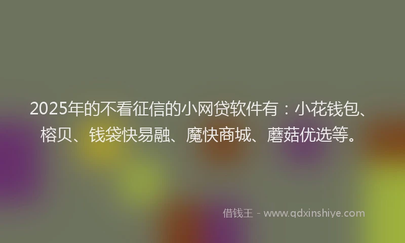 2025年的不看征信的小网贷软件有：小花钱包、榕贝、钱袋快易融、魔快商城、蘑菇优选等。