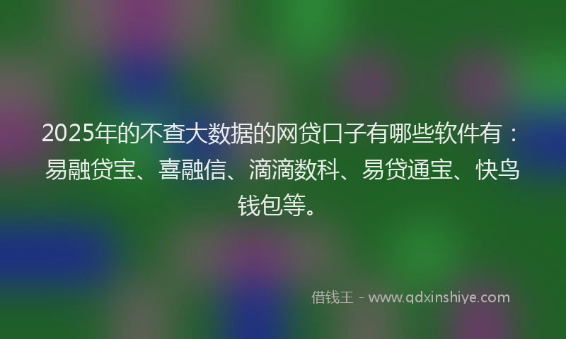2025年的不查大数据的网贷口子有哪些软件有：易融贷宝、喜融信、滴滴数科、易贷通宝、快鸟钱包等。