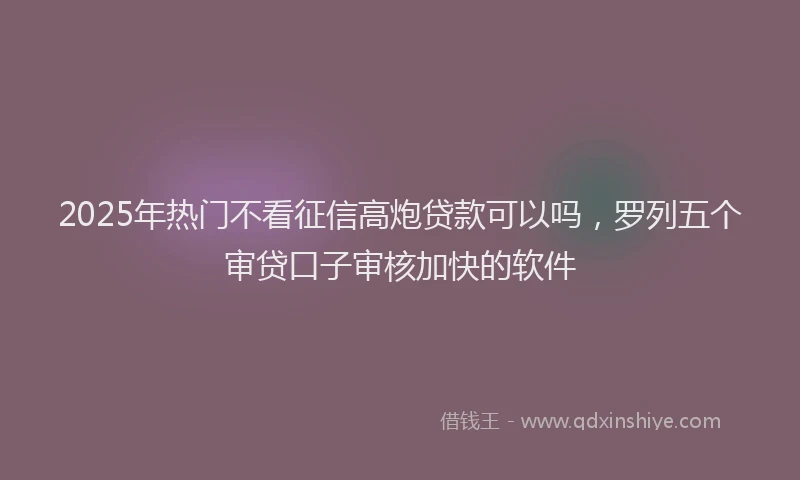 2025年热门不看征信高炮贷款可以吗，罗列五个审贷口子审核加快的软件