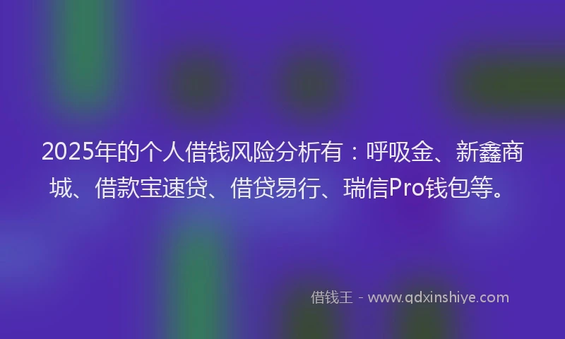 2025年的个人借钱风险分析有：呼吸金、新鑫商城、借款宝速贷、借贷易行、瑞信Pro钱包等。