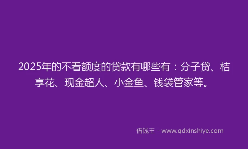2025年的不看额度的贷款有哪些有：分子贷、桔享花、现金超人、小金鱼、钱袋管家等。