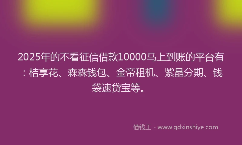 2025年的不看征信借款10000马上到账的平台有：桔享花、森森钱包、金帝租机、紫晶分期、钱袋速贷宝等。