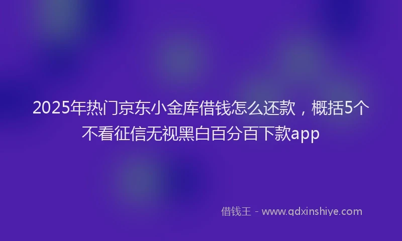 2025年热门京东小金库借钱怎么还款，概括5个不看征信无视黑白百分百下款app
