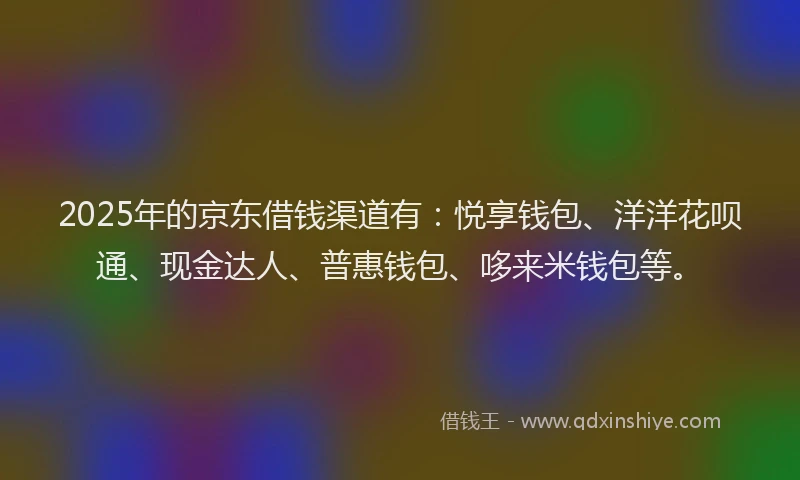 2025年的京东借钱渠道有：悦享钱包、洋洋花呗通、现金达人、普惠钱包、哆来米钱包等。