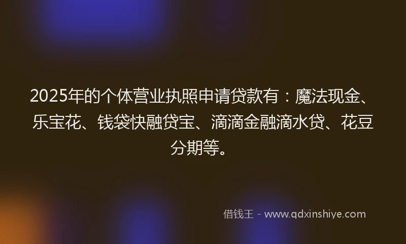 2025年的个体营业执照申请贷款有：魔法现金、乐宝花、钱袋快融贷宝、滴滴金融滴水贷、花豆分期等。