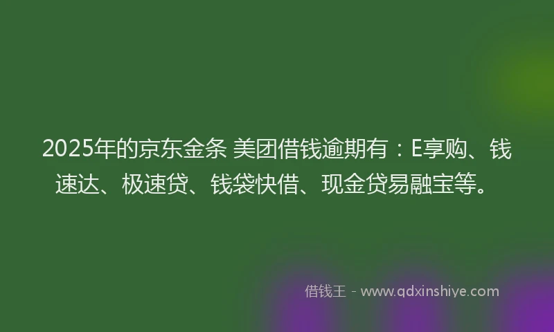 2025年的京东金条 美团借钱逾期有：E享购、钱速达、极速贷、钱袋快借、现金贷易融宝等。