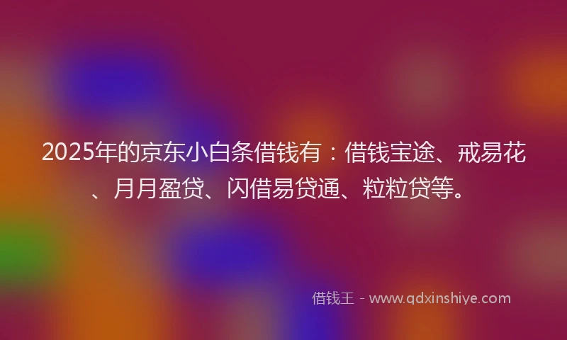 2025年的京东小白条借钱有：借钱宝途、戒易花、月月盈贷、闪借易贷通、粒粒贷等。