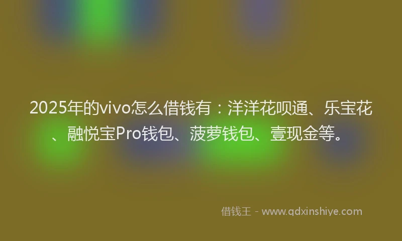 2025年的vivo怎么借钱有：洋洋花呗通、乐宝花、融悦宝Pro钱包、菠萝钱包、壹现金等。