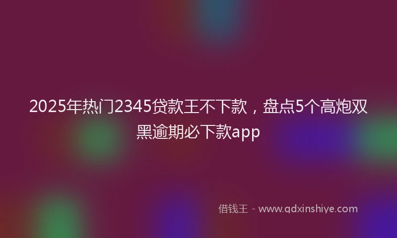 2025年热门2345贷款王不下款，盘点5个高炮双黑逾期必下款app