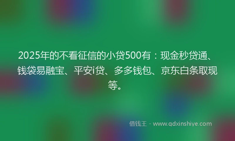 2025年的不看征信的小贷500有：现金秒贷通、钱袋易融宝、平安i贷、多多钱包、京东白条取现等。