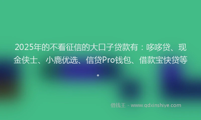 2025年的不看征信的大口子贷款有：哆哆贷、现金侠士、小鹿优选、信贷Pro钱包、借款宝快贷等。