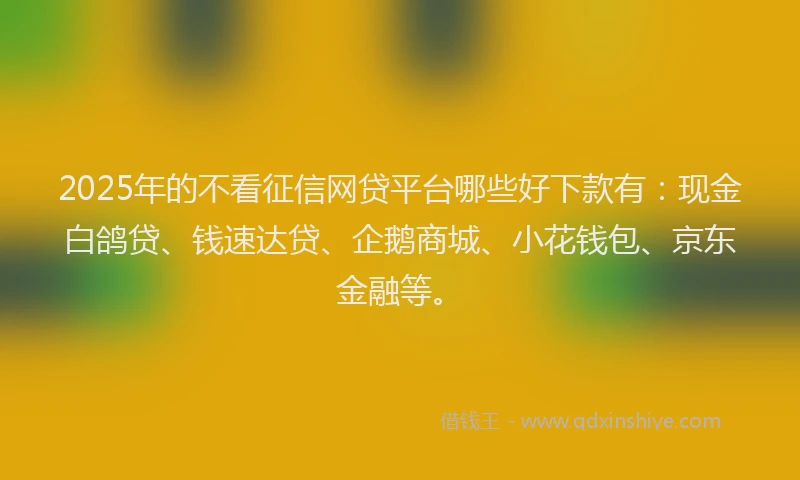2025年的不看征信网贷平台哪些好下款有：现金白鸽贷、钱速达贷、企鹅商城、小花钱包、京东金融等。
