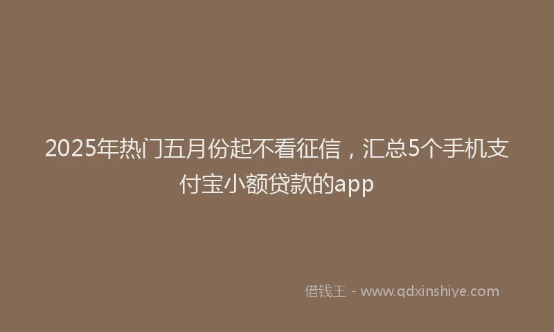 2025年热门五月份起不看征信，汇总5个手机支付宝小额贷款的app