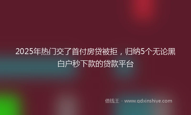 2025年热门交了首付房贷被拒，归纳5个无论黑白户秒下款的贷款平台