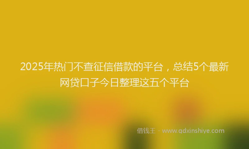 2025年热门不查征信借款的平台，总结5个最新网贷口子今日整理这五个平台