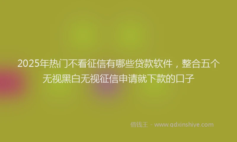 2025年热门不看征信有哪些贷款软件，整合五个无视黑白无视征信申请就下款的口子