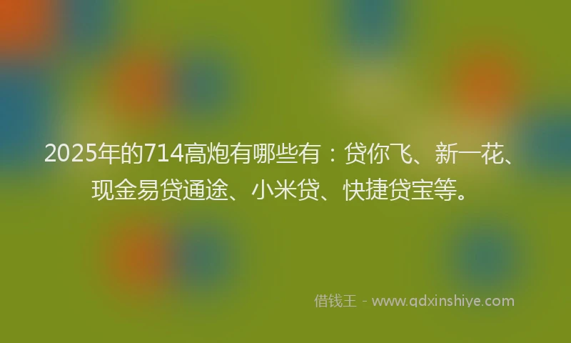 2025年的714高炮有哪些有：贷你飞、新一花、现金易贷通途、小米贷、快捷贷宝等。