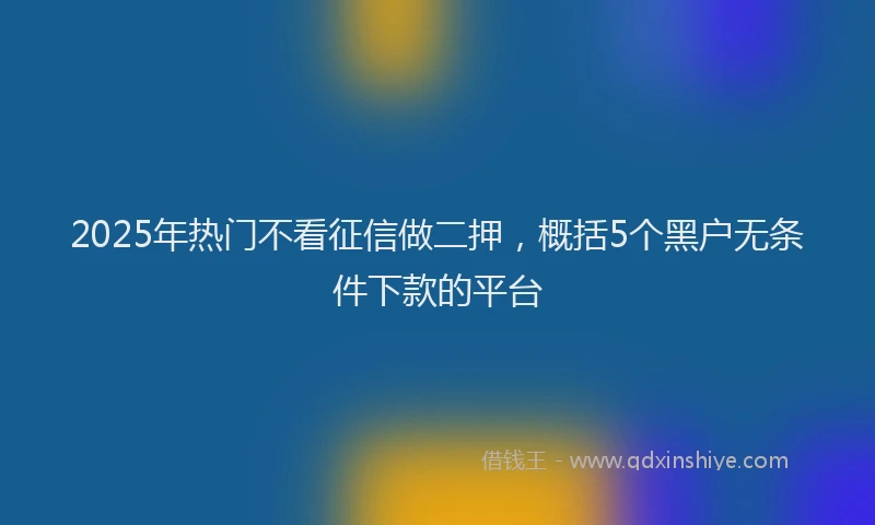 2025年热门不看征信做二押，概括5个黑户无条件下款的平台