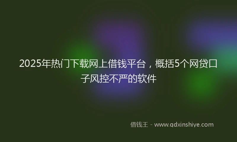 2025年热门下载网上借钱平台，概括5个网贷口子风控不严的软件