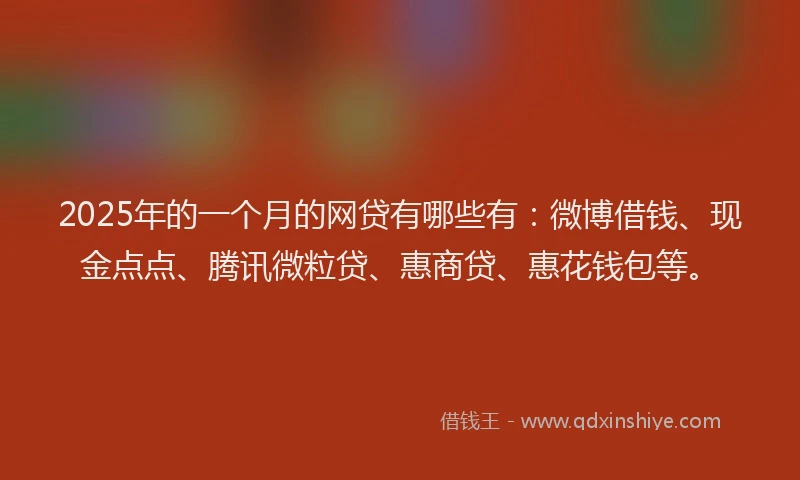 2025年的一个月的网贷有哪些有：微博借钱、现金点点、腾讯微粒贷、惠商贷、惠花钱包等。