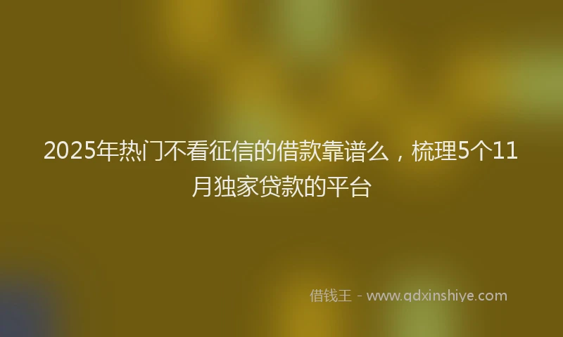 2025年热门不看征信的借款靠谱么，梳理5个11月独家贷款的平台