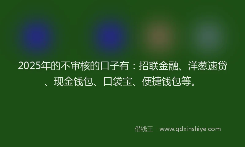 2025年的不审核的口子有：招联金融、洋葱速贷、现金钱包、口袋宝、便捷钱包等。