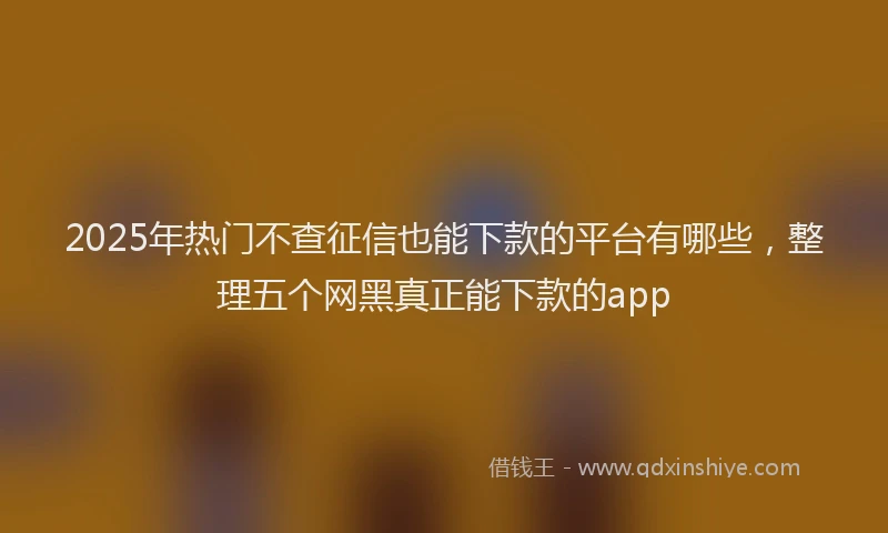 2025年热门不查征信也能下款的平台有哪些，整理五个网黑真正能下款的app