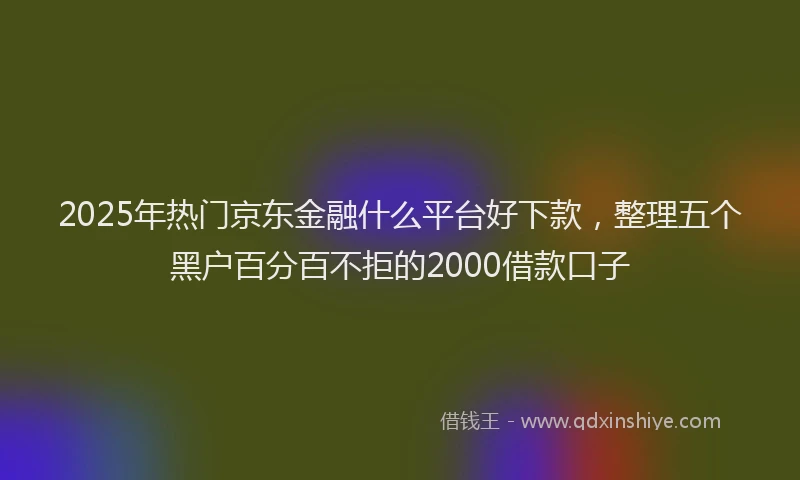 2025年热门京东金融什么平台好下款，整理五个黑户百分百不拒的2000借款口子