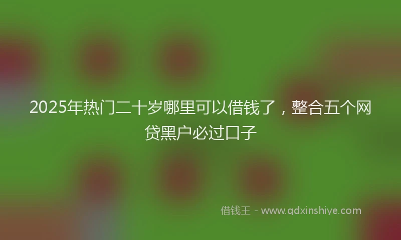 2025年热门二十岁哪里可以借钱了，整合五个网贷黑户必过口子