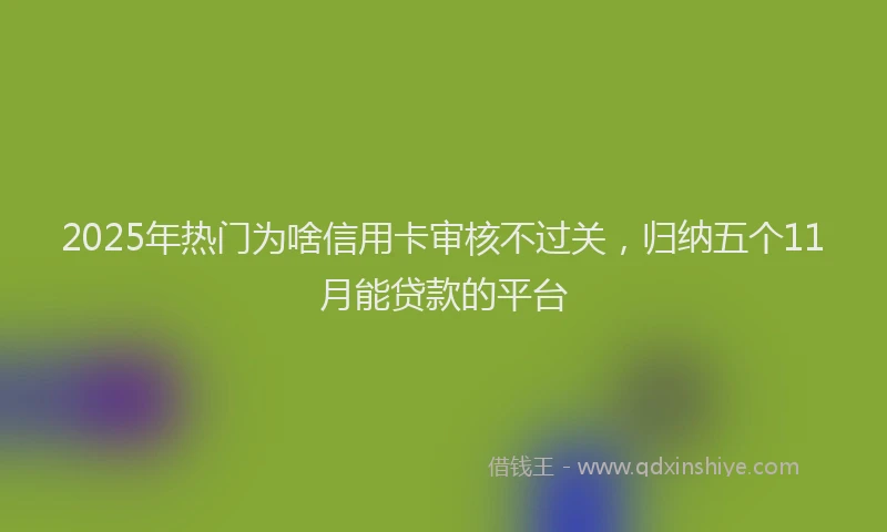 2025年热门为啥信用卡审核不过关，归纳五个11月能贷款的平台