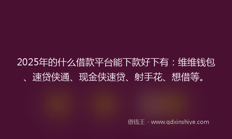 2025年的什么借款平台能下款好下有：维维钱包、速贷侠通、现金侠速贷、射手花、想借等。