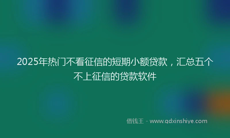 2025年热门不看征信的短期小额贷款，汇总五个不上征信的贷款软件