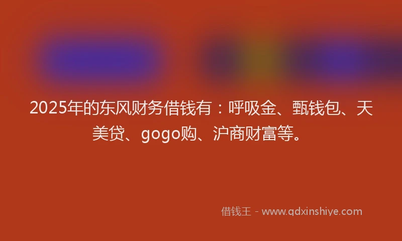 2025年的东风财务借钱有：呼吸金、甄钱包、天美贷、gogo购、沪商财富等。