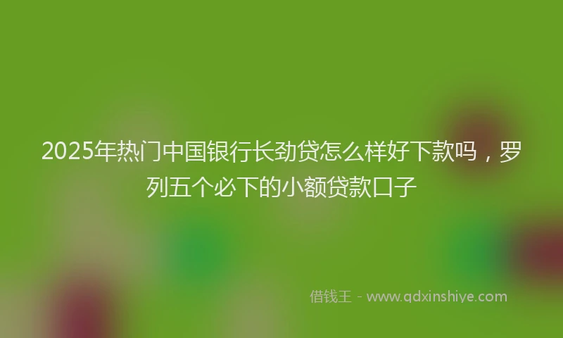 2025年热门中国银行长劲贷怎么样好下款吗，罗列五个必下的小额贷款口子