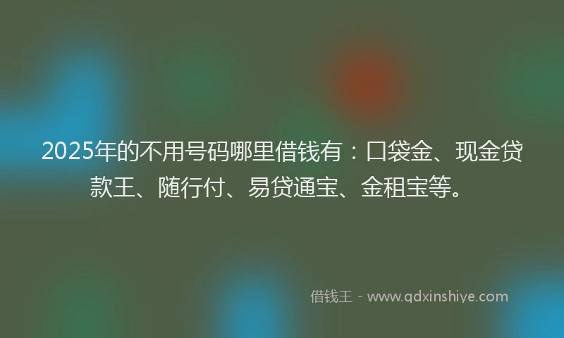 2025年的不用号码哪里借钱有：口袋金、现金贷款王、随行付、易贷通宝、金租宝等。