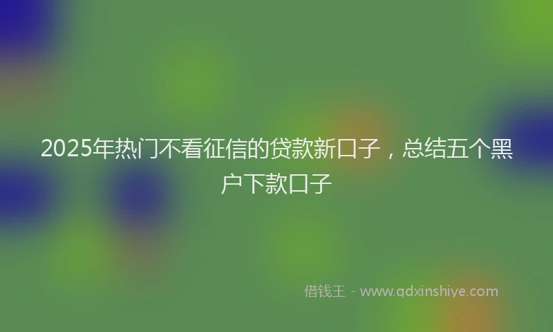 2025年热门不看征信的贷款新口子，总结五个黑户下款口子