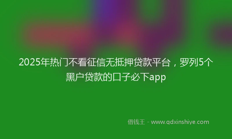 2025年热门不看征信无抵押贷款平台，罗列5个黑户贷款的口子必下app
