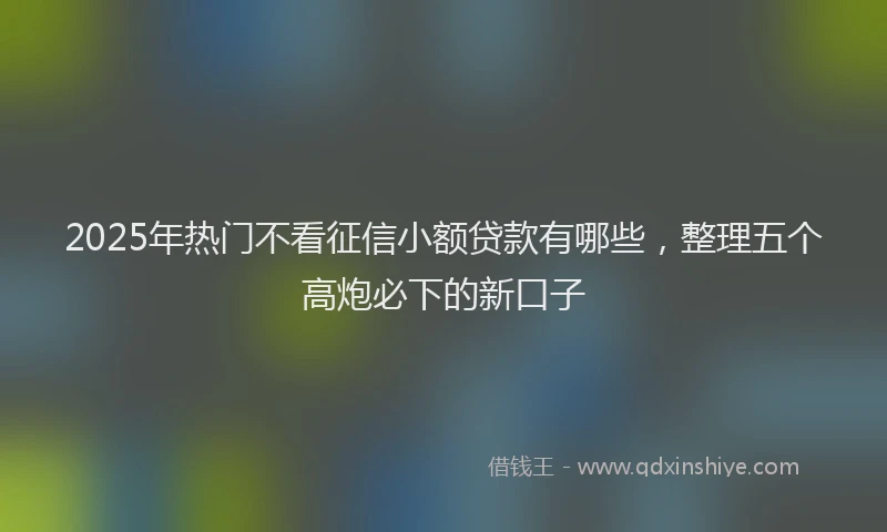 2025年热门不看征信小额贷款有哪些，整理五个高炮必下的新口子