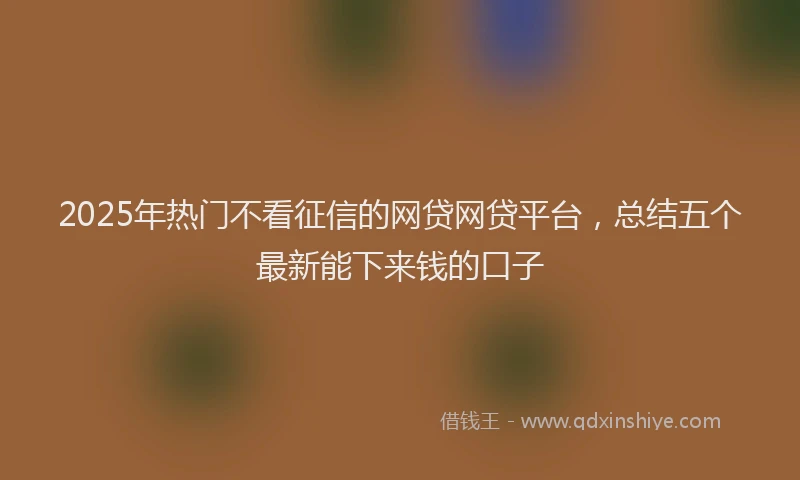 2025年热门不看征信的网贷网贷平台，总结五个最新能下来钱的口子