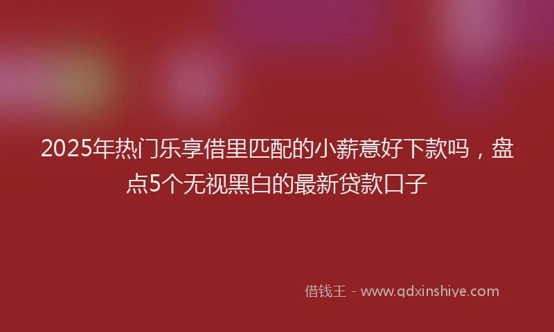 2025年热门乐享借里匹配的小薪意好下款吗，盘点5个无视黑白的最新贷款口子