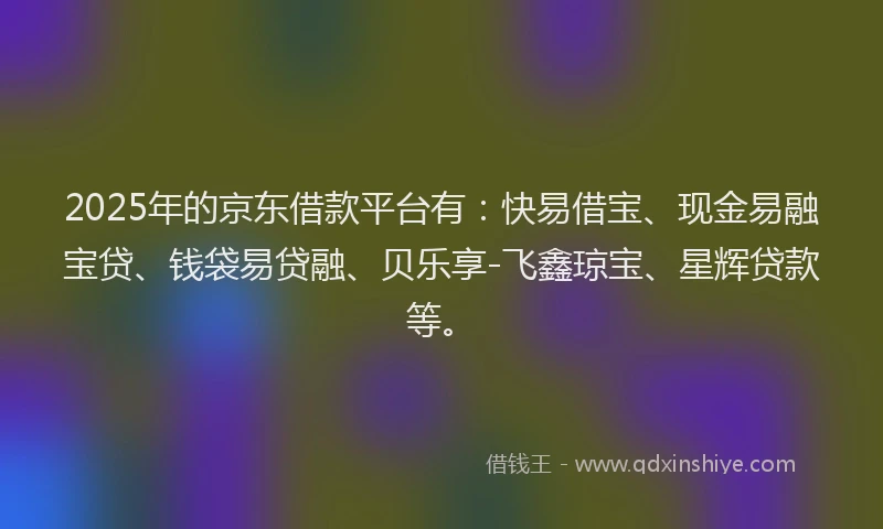 2025年的京东借款平台有：快易借宝、现金易融宝贷、钱袋易贷融、贝乐享-飞鑫琼宝、星辉贷款等。