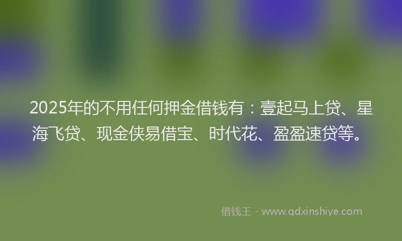 2025年的不用任何押金借钱有：壹起马上贷、星海飞贷、现金侠易借宝、时代花、盈盈速贷等。