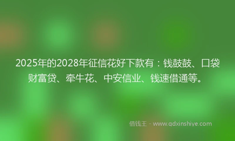 2025年的2028年征信花好下款有：钱鼓鼓、口袋财富贷、牵牛花、中安信业、钱速借通等。
