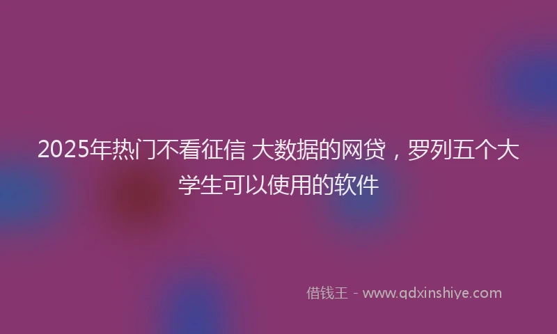2025年热门不看征信 大数据的网贷，罗列五个大学生可以使用的软件