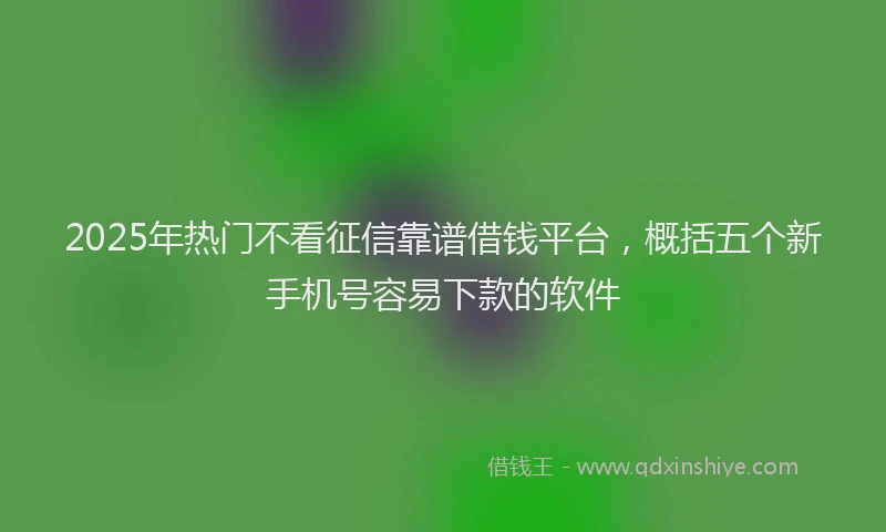 2025年热门不看征信靠谱借钱平台，概括五个新手机号容易下款的软件