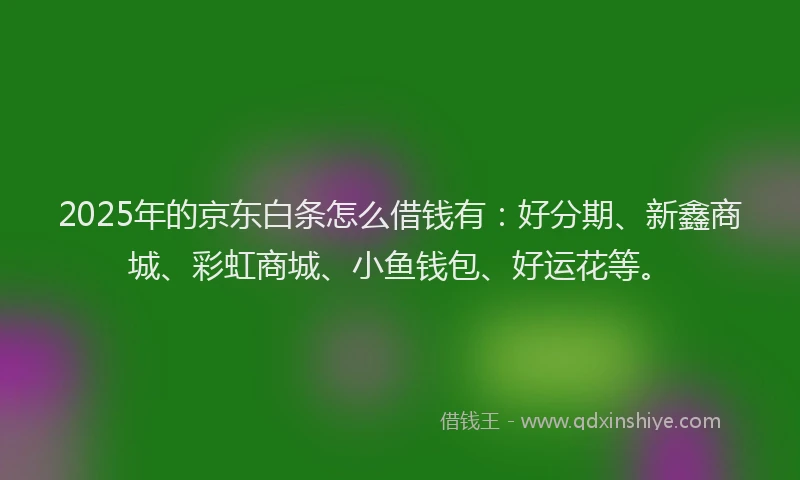 2025年的京东白条怎么借钱有：好分期、新鑫商城、彩虹商城、小鱼钱包、好运花等。